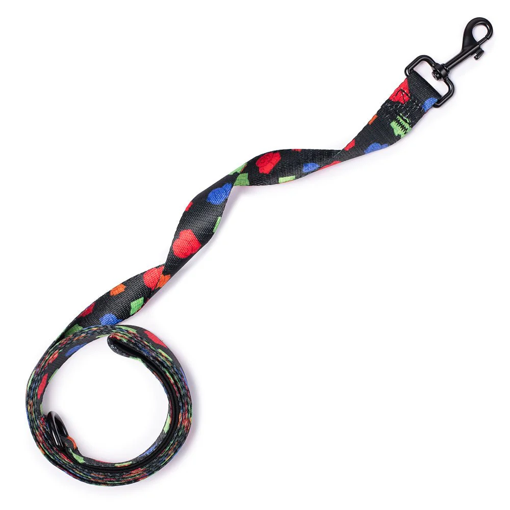 South Park Boys Pet Leash - Image 2