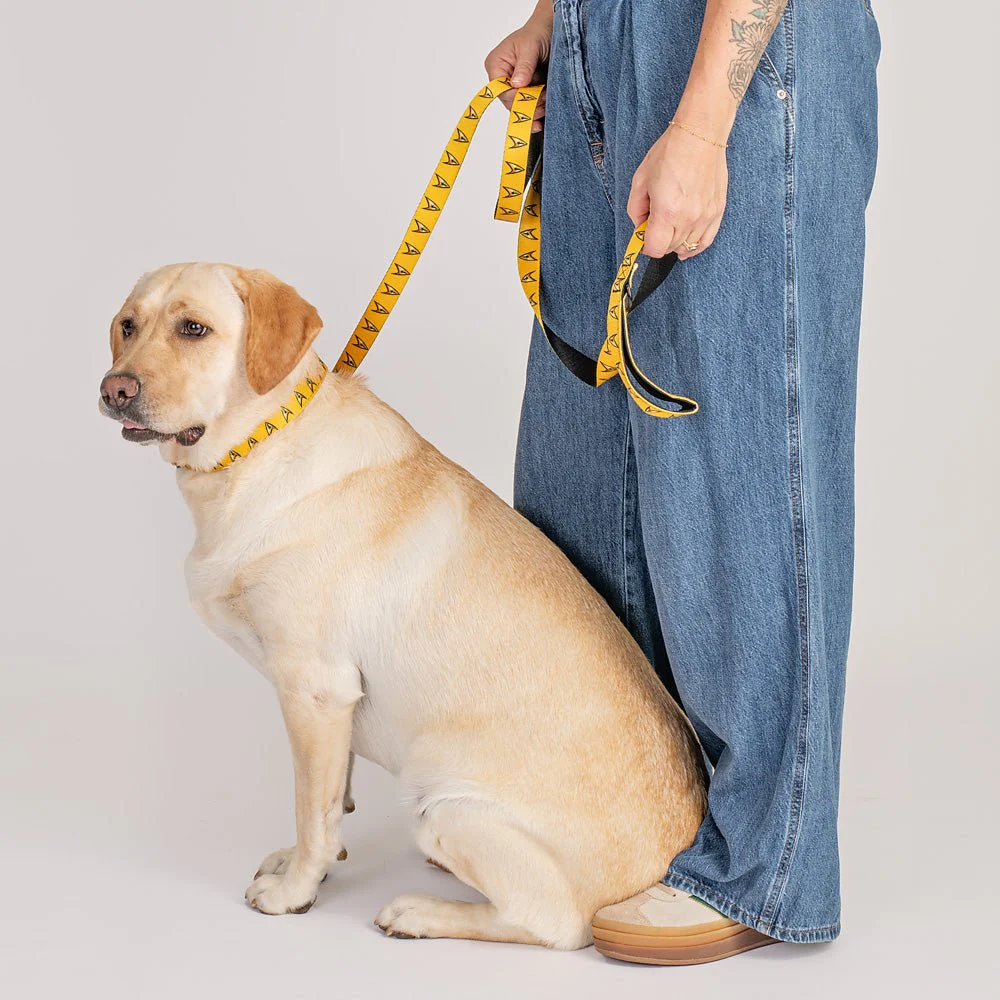 Star Trek: The Original Series Command Pet Leash - Image 2