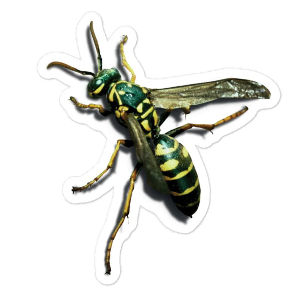 Yellowjackets Icon Die Cut Sticker - Image 2