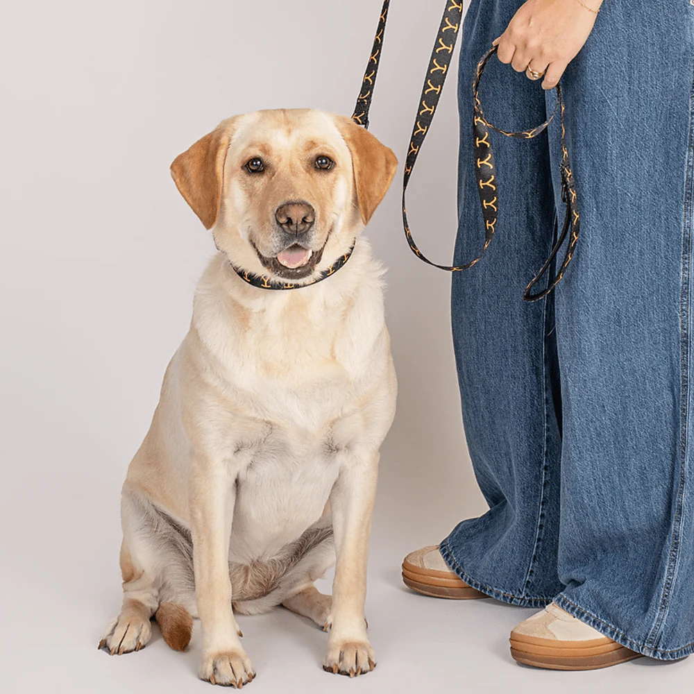 Yellowstone Logo Leash - Image 3